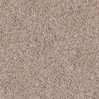 Akita - Bark