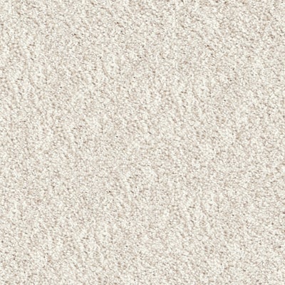 Akita - Bichon Frise