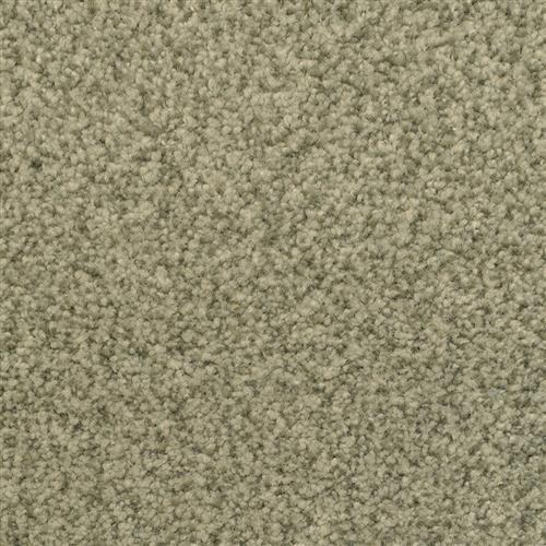 Chromatic Touch - Rain Forest