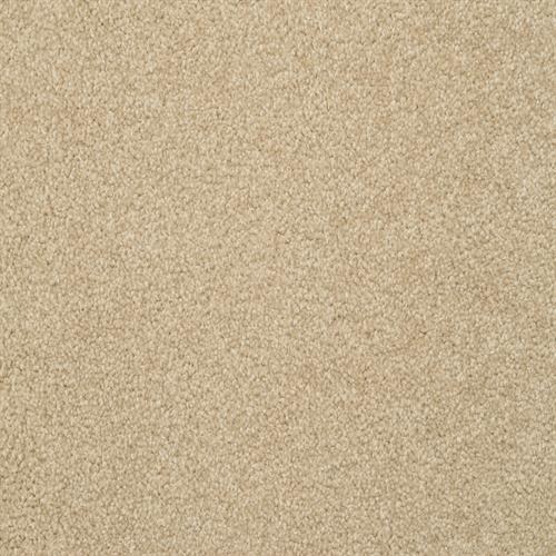 Alluring - Suede