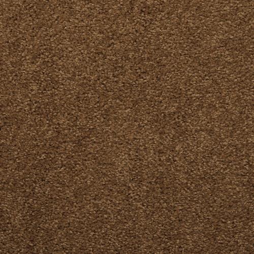 Soft & Silky - Brushed Sable