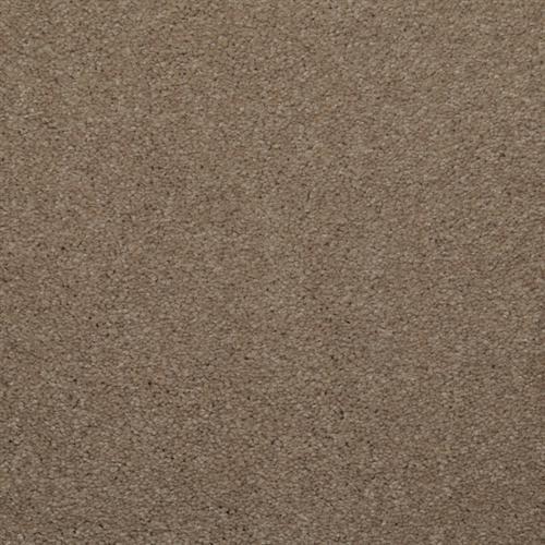 Spellbinding - Khaki Tone