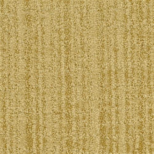 Cypress - Spruce