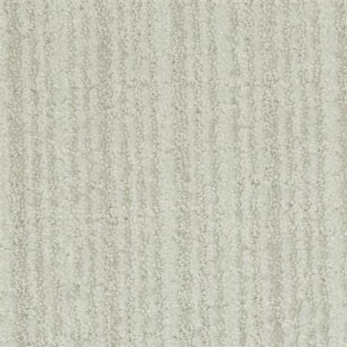 Cypress - Silver Dollar