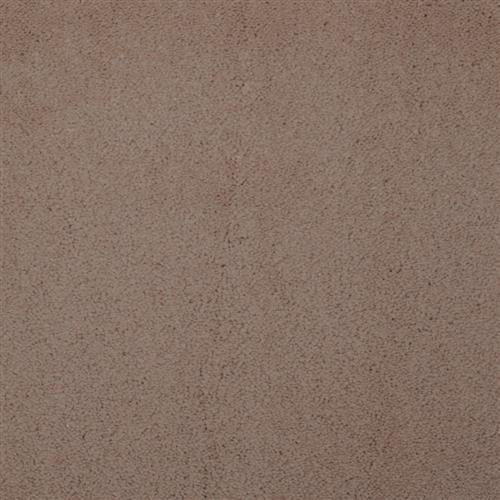 Touch of Velvet - Vicuna