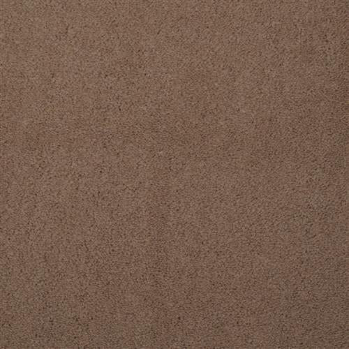 Touch of Velvet - Castanet