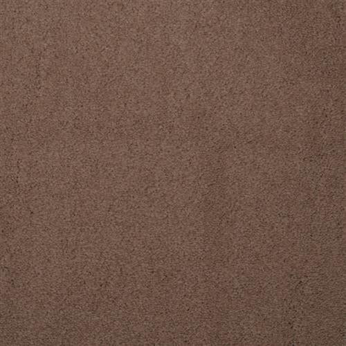 Touch of Velvet - Woodrose