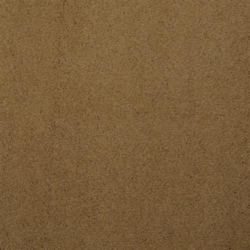 Touch of Velvet - Cameleer