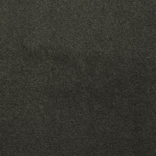 Touch of Velvet - Clover
