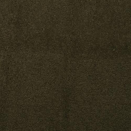 Touch of Velvet - Olive Branch