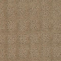 Traditions - Smoky Ash