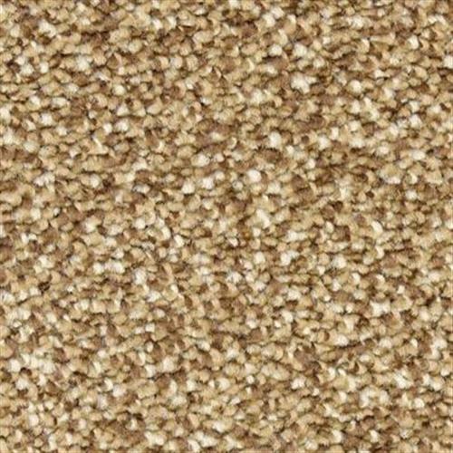 Gusto - Chocolate Chip