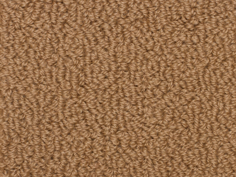 Somerset - Bronze