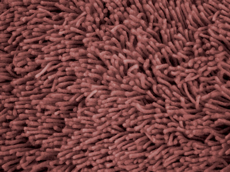 Mop Top - Merlot
