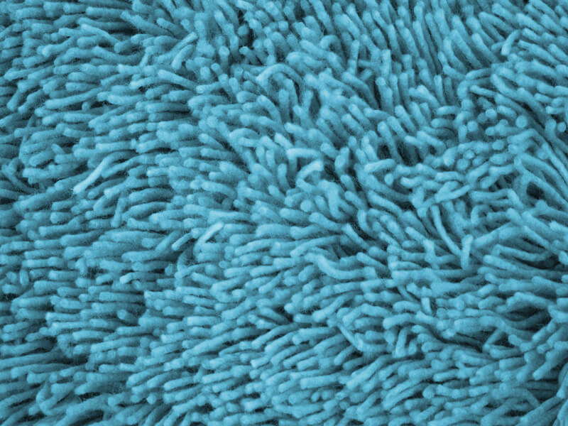 Mop Top - Sky Blue