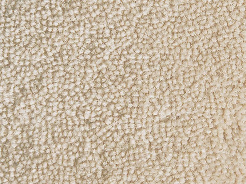 Contessa - Sand Dollar