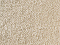 Contessa - Sand Dollar