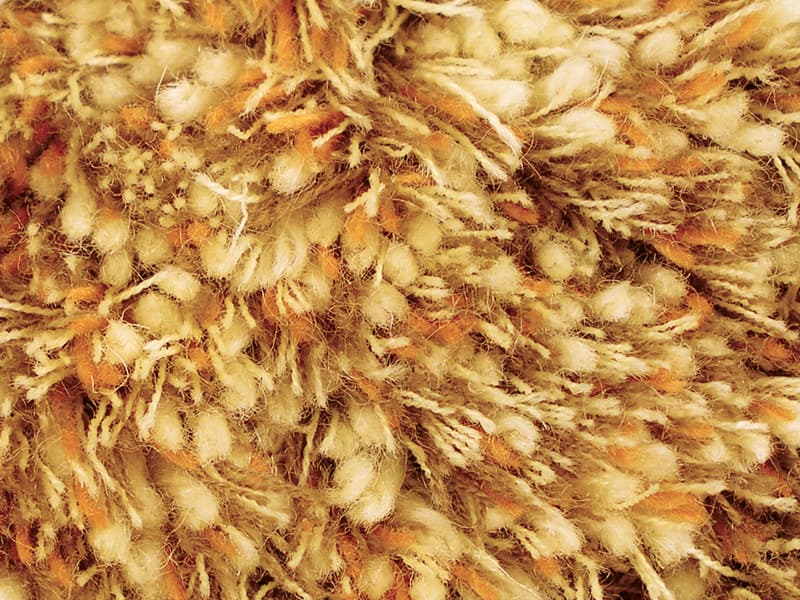 Series 1000 - Autumn Burst