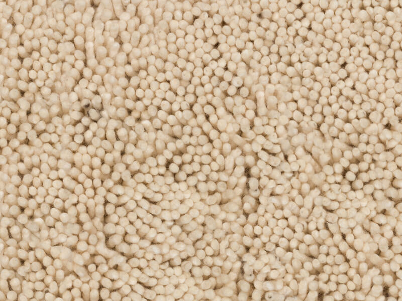 Sumptuous - Fleece
