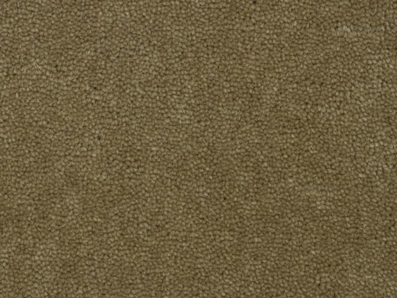 Palazzo - Sage Green