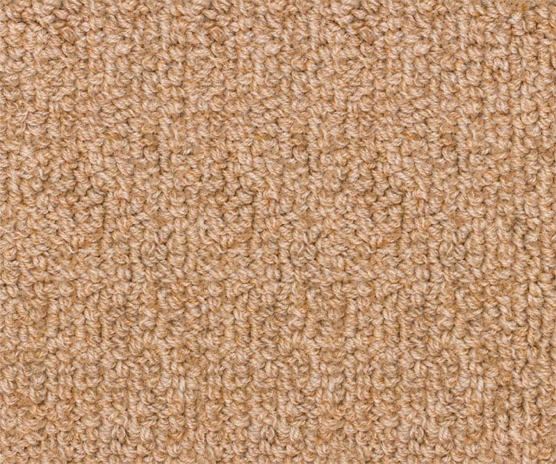 Vista - Tan