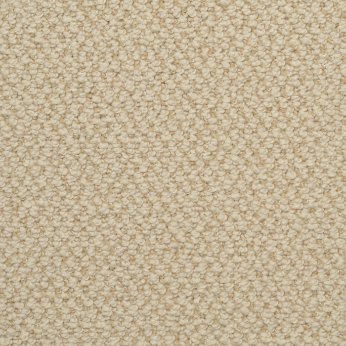 Authentic Living - Sponge