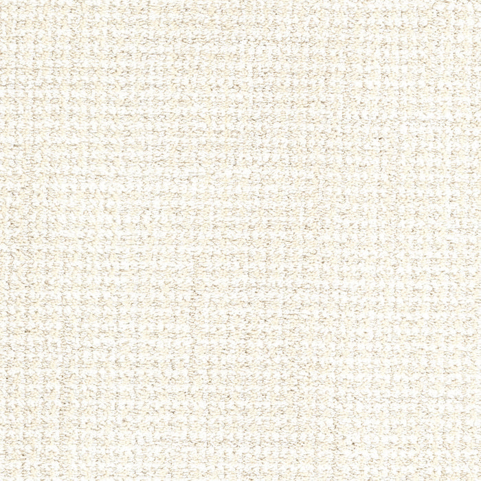 Tabby - Bobtail