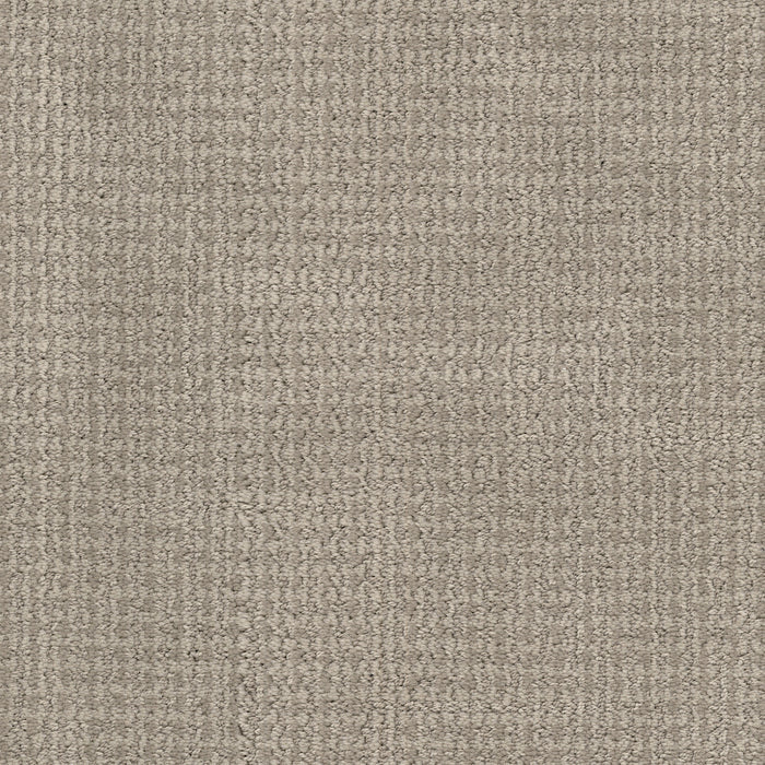 Tabby - Marmalade