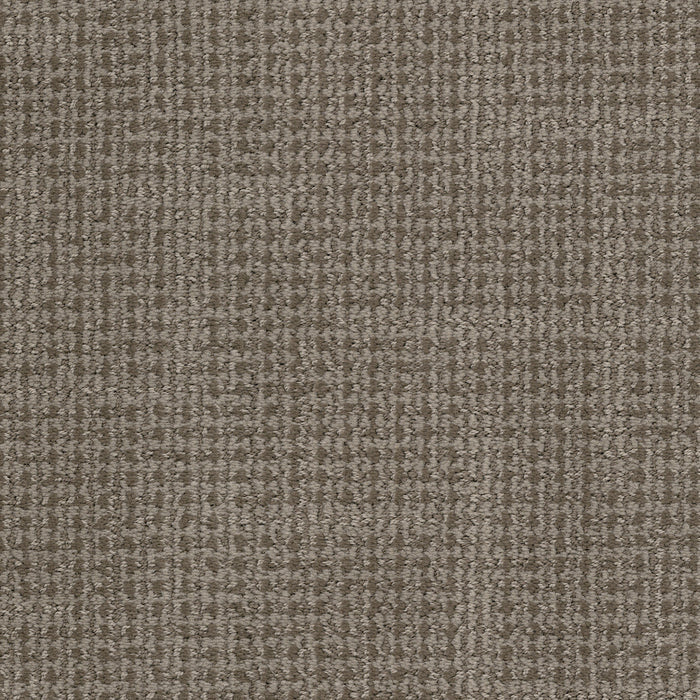 Tabby - Felicette