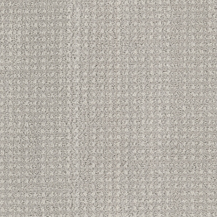 Tabby - Venus