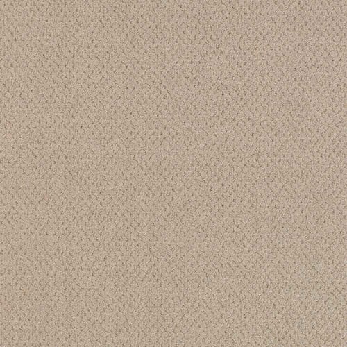 DX300 - Prairie