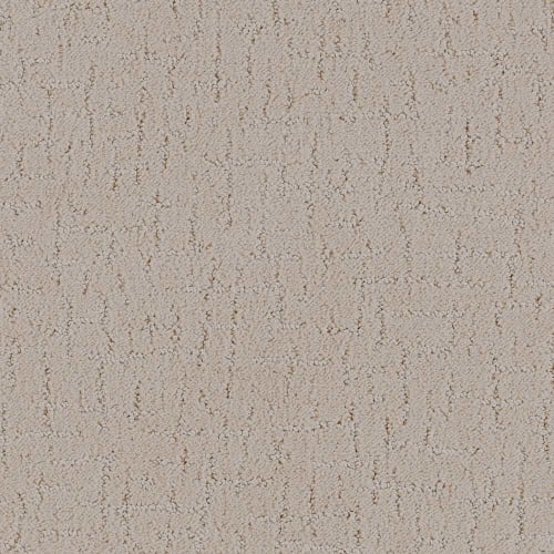 DX301 - Dovetail