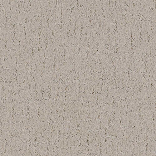 DX301 - Pebble