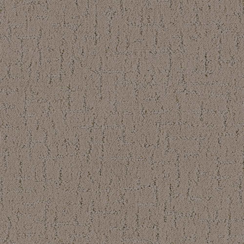 DX301 - Porpoise
