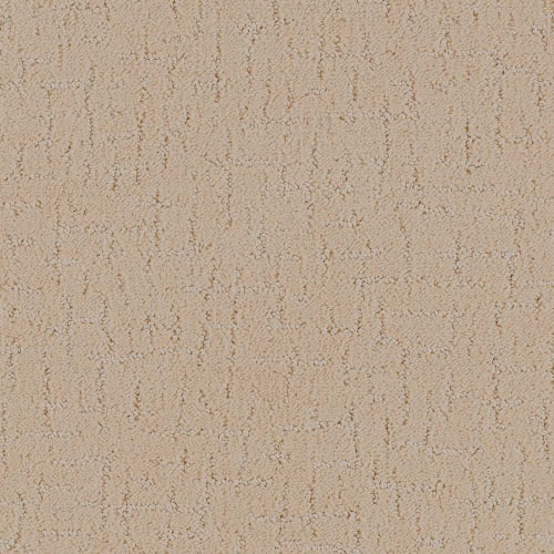 DX301 - Prairie
