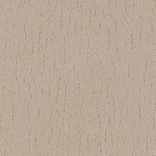 DX301 - Sand