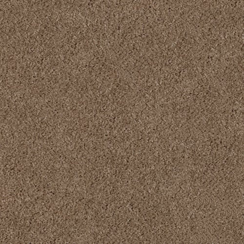 Essential - Nutshell