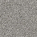 DX108 - Clam