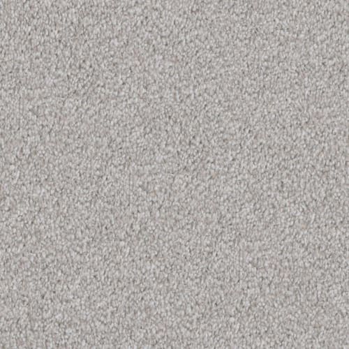 DX108 - Dove