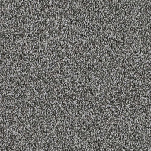 DX108 - Polar
