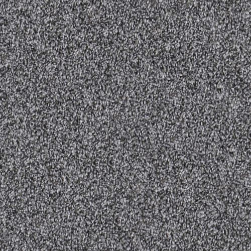 DX169 - Polar