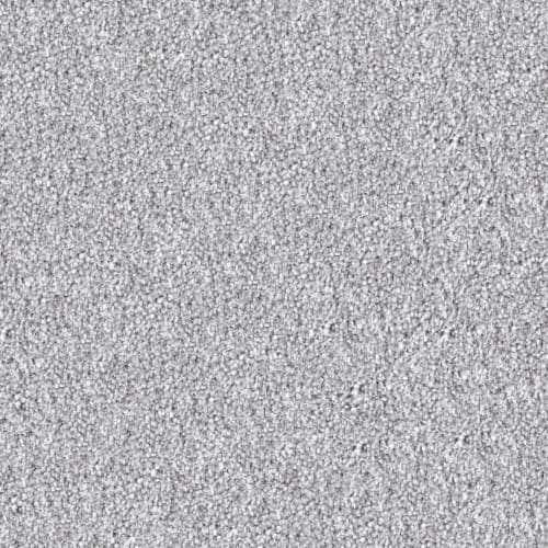 DX835 - Gull