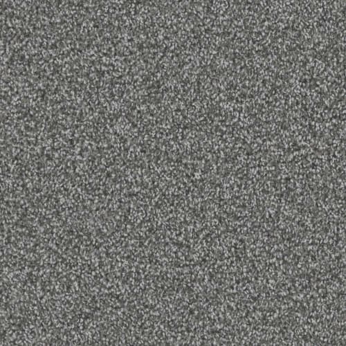 DX836 - Birch