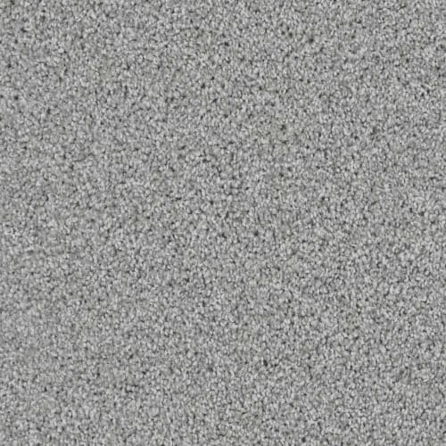 DX836 - Gull