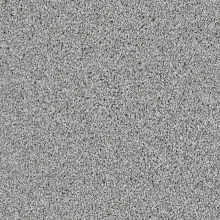 DX840 - Gull