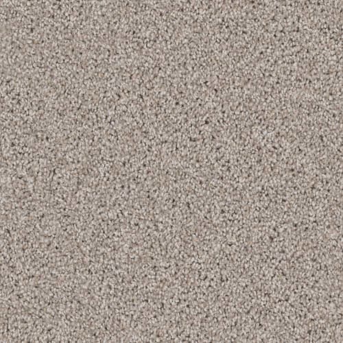 DX836 - Wheat