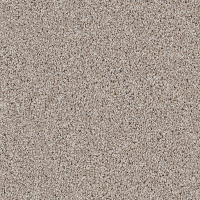 DX840 - Wheat