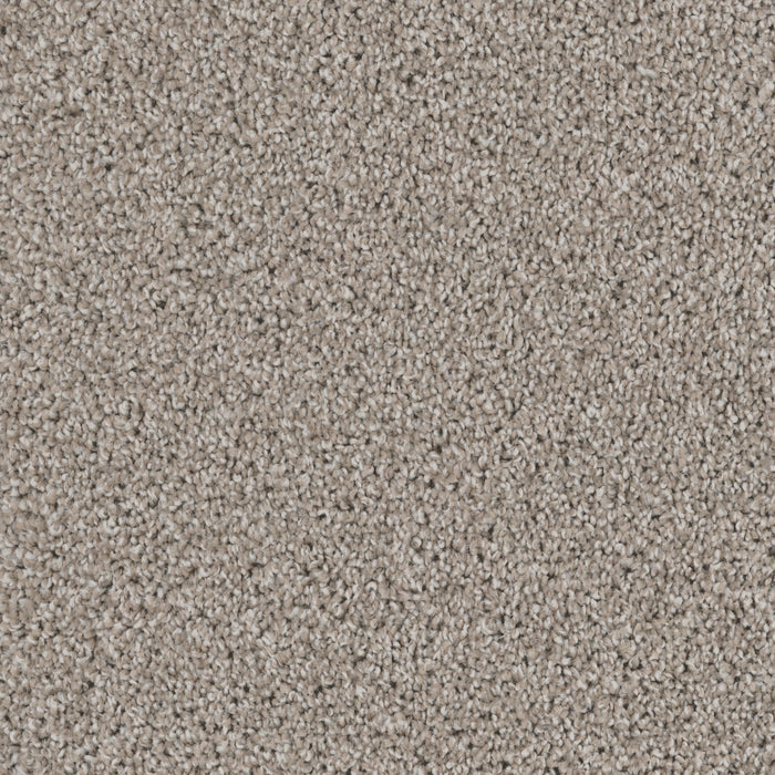 DX840 - Dune