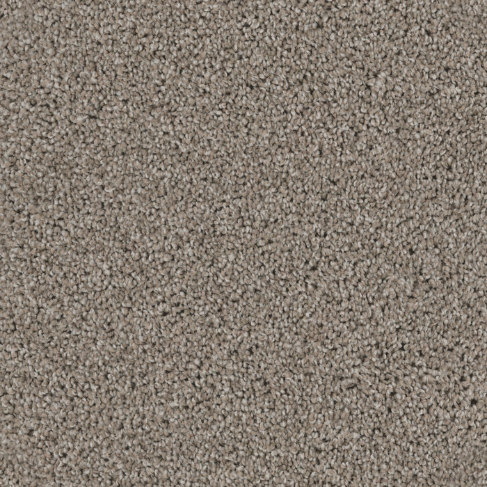 DX840 - Fawn