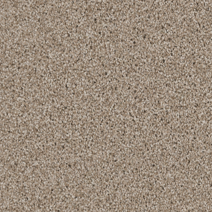 DX840 - Walnut